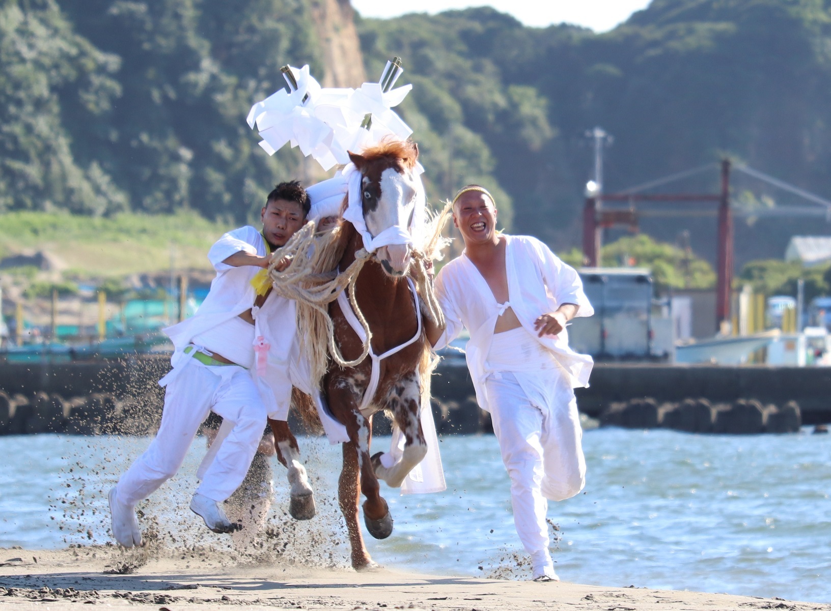 吾妻神社の馬だし祭り | 富津市