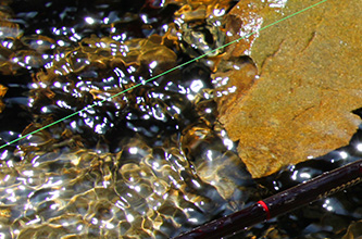 Casket カスケット｜トラウト、バス、ソルトルアー専門店｜通販可能｜