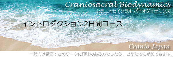 こころ-からだ-魂） クラニオセイクラル バイオダイナミクス－Cranio JAPAN