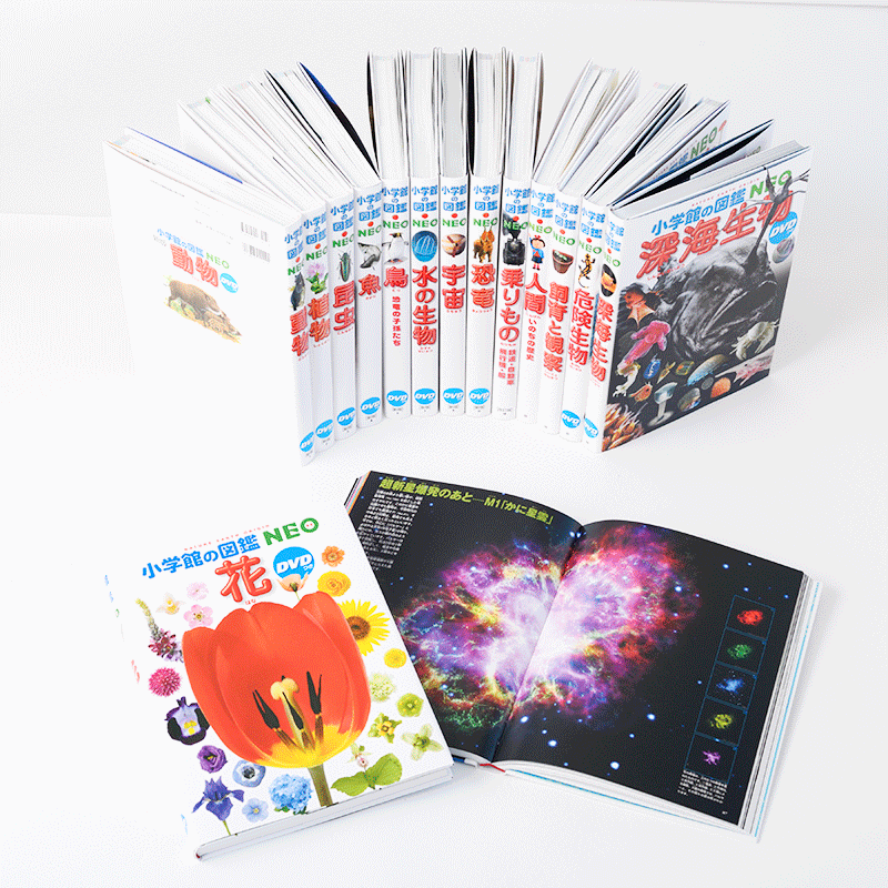 小学館の図鑑NEO（ネオ）｜絵本・児童書の通販【クレヨンハウス】