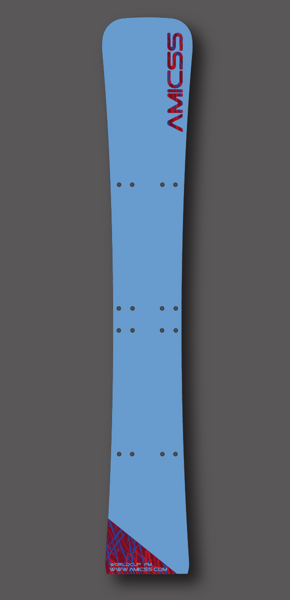 AMICSS WORLD CUP Factory Model