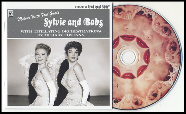 The Sylvie And Babs Hi-Fi Companion - Andrew Liles