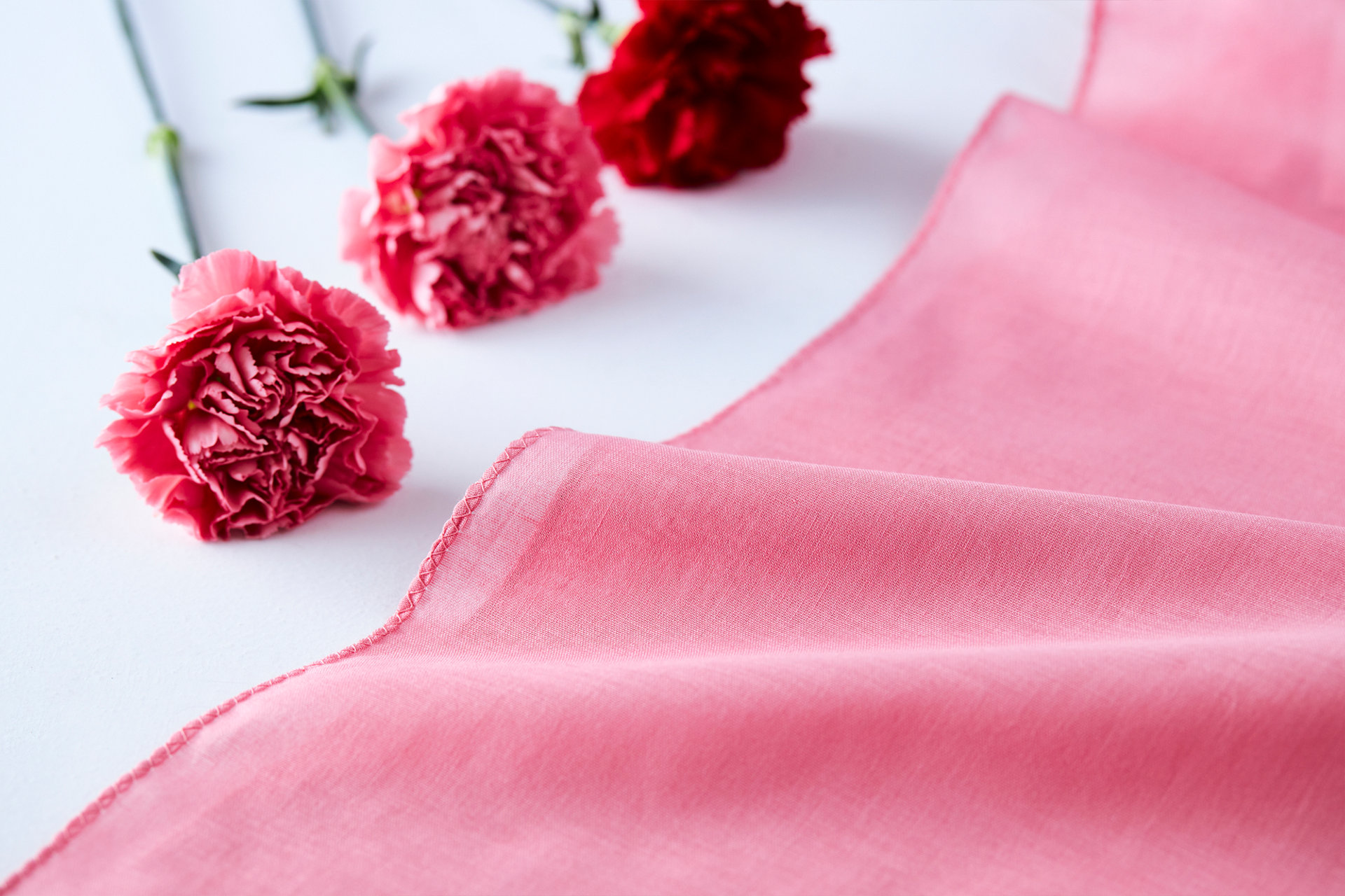 中川政七商店とのコラボレーション！カーネーションの色素で染め上げた