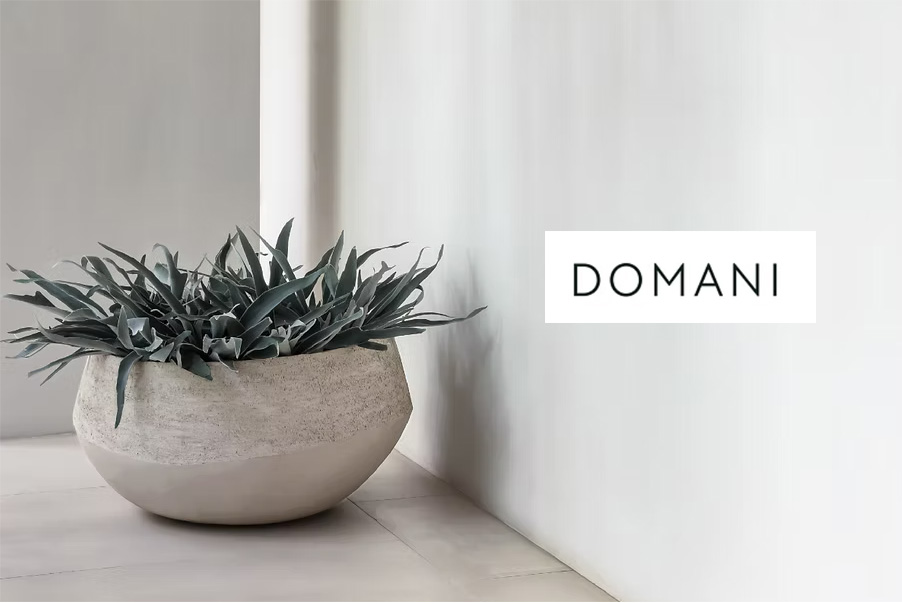 一点もの】フィカス・ベンガレンシス/DOMANI(ドマーニ)/ESPOO TEP40