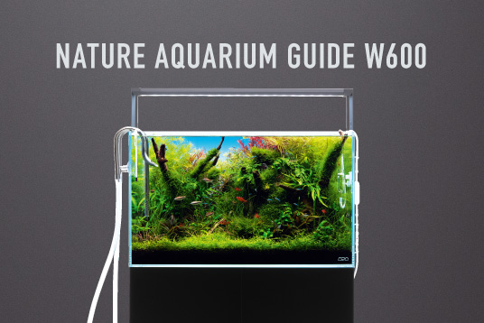 天野 尚 作品集 アート オブ ネイチャーアクアリウム』発売のお知らせ