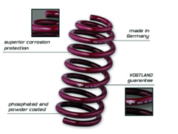 フォクトランド VOGTLAND フォクトランド ダウンサス サスペンション