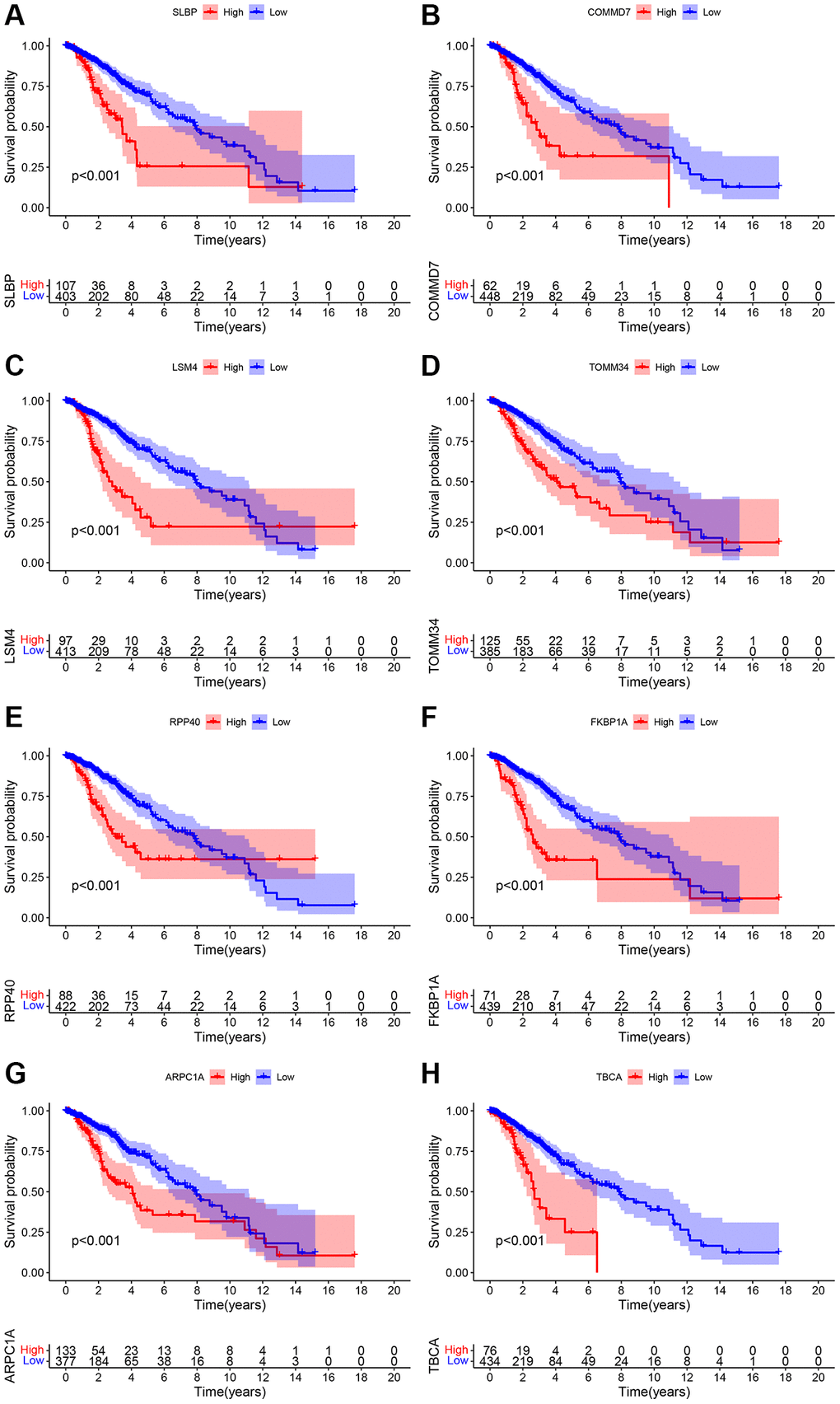 Prognostic relevance and validation of ARPC1A in the progression