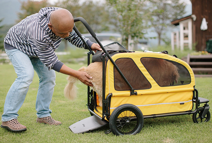 CARRIAGE - AIRBUGGY FOR PET | ペットカートのエアバギー