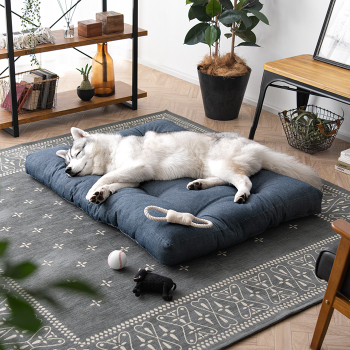デニムデザイン ペットクッション Rob(ロブ) Lサイズ | 家具