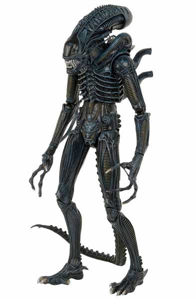 ASTRO ZOMBIES | NECA ALIEN 1/4スケール ALIENS XENOMORPH WARRIOR