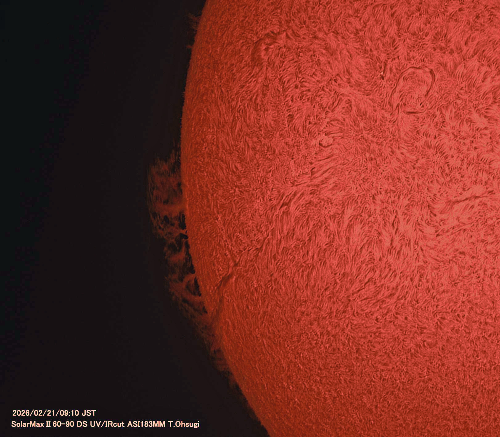 132860: 2月21日の太陽面 by ta-o - 天体写真ギャラリー