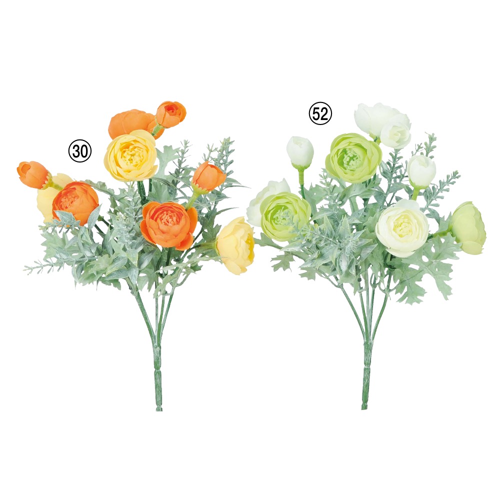 ラナンキュラスブッシュ×6つぼみ×3｜商品案内｜株式会社アスカ商会