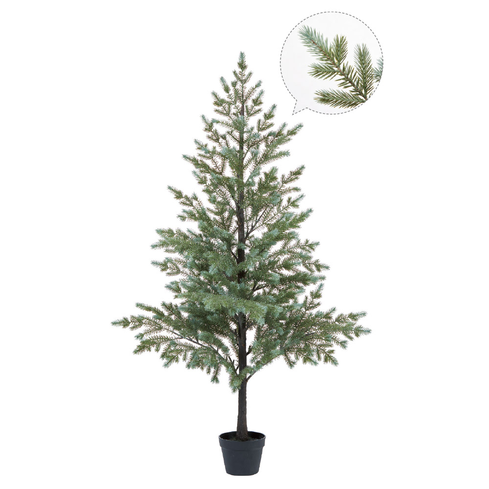 パインツリー（ポット付）｜商品案内｜株式会社アスカ商会