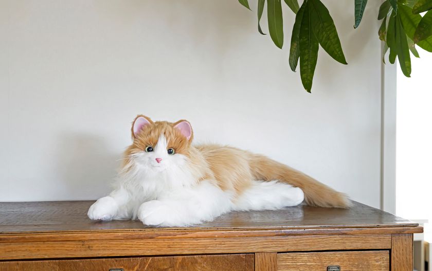 本物そっくり“ねこ型ペットロボット” 「しっぽふりふり あまえんぼう