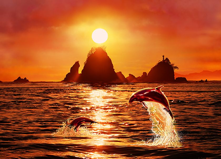 LL_img_380143_6.jpg?format=