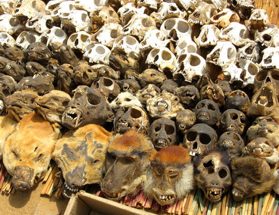 トーゴ<アフリカ写真館：アフリカ雑貨アザライ