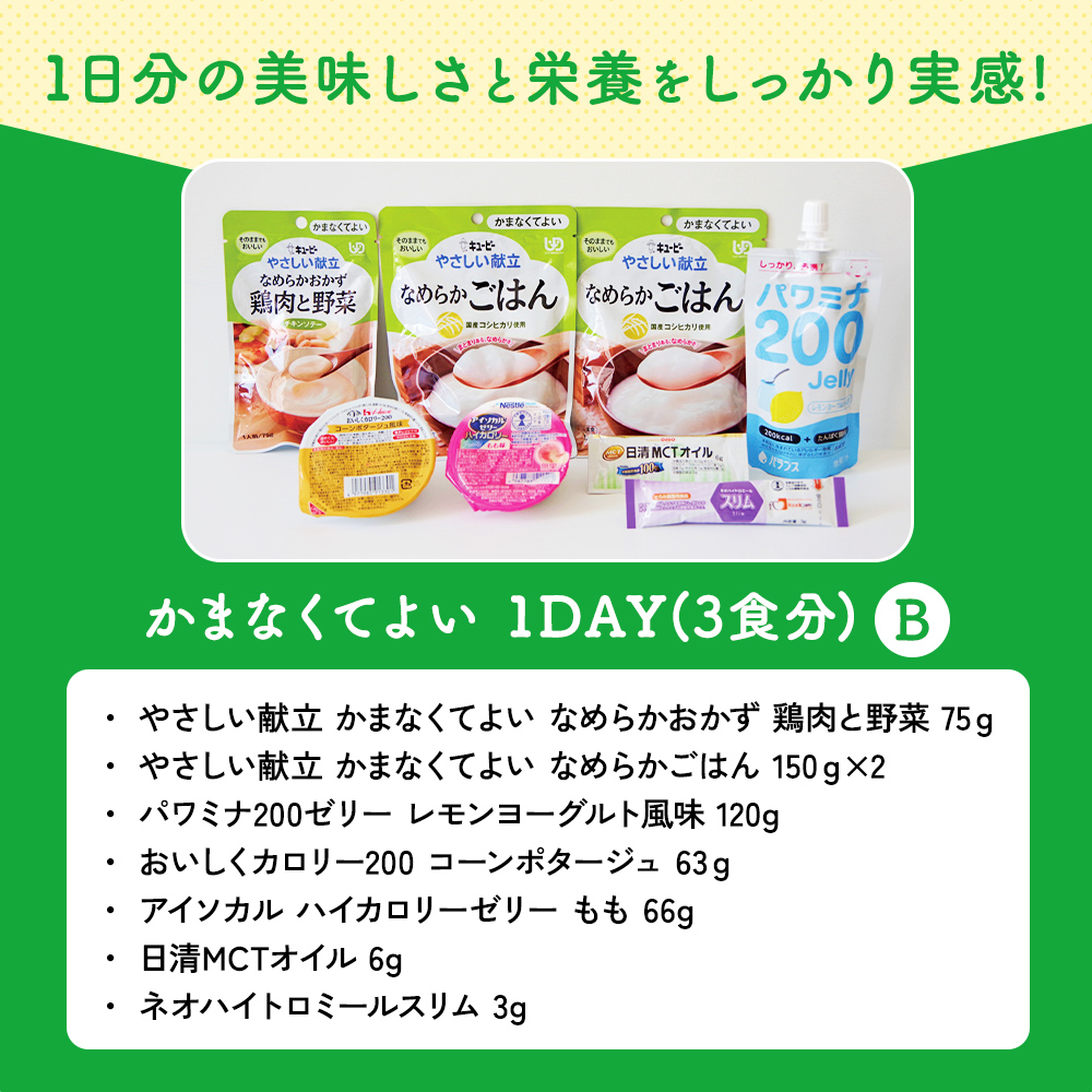 かまなくてよい 1DAY(3食分)B 災害時やわらか食 安心パック-介護食