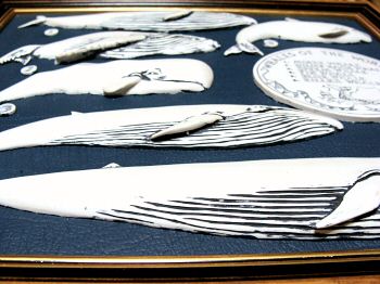 額 世界の鯨 （スクリムショウ 牙細工）｜ セーラーの伝統工芸スクリム