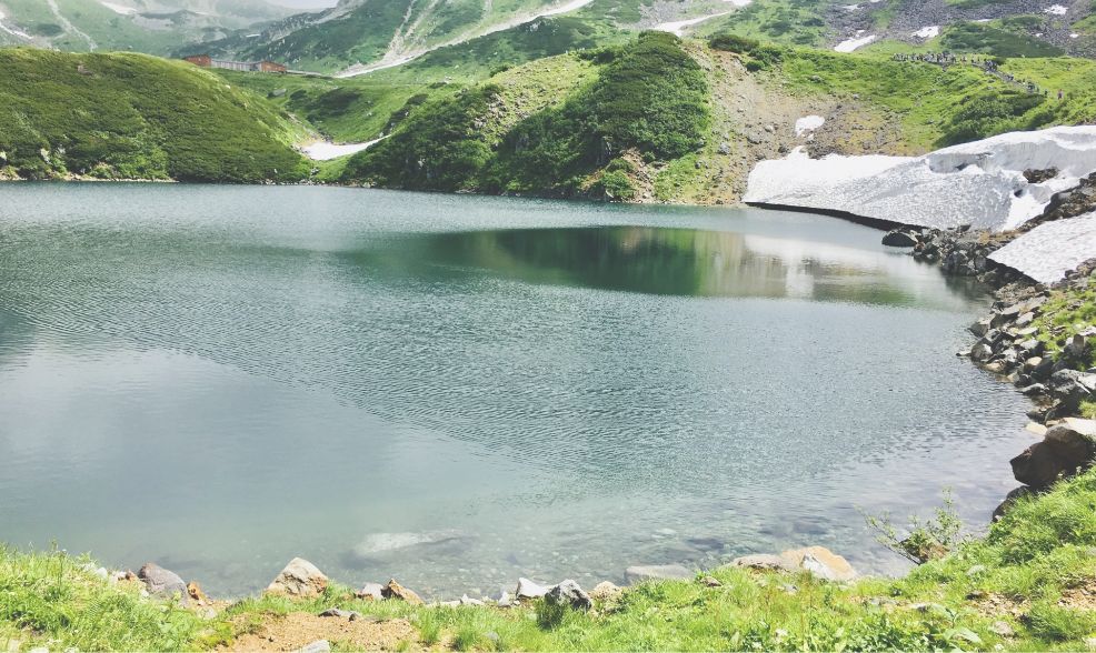 国産バストクリーム VOLCENTA | BODY's PRO