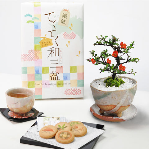 長寿梅白掛祝い鉢(受け皿付き)と和三盆クッキーセットの盆栽の販売
