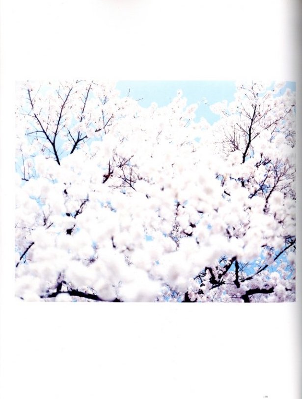 鈴木理策写真展 意識の流れ / 鈴木理策 | 小宮山書店 KOMIYAMA TOKYO