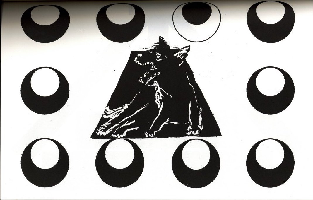 仲條のフジのヤマイ フジ三十六景 / 著：仲條正義 編集:後藤繁雄