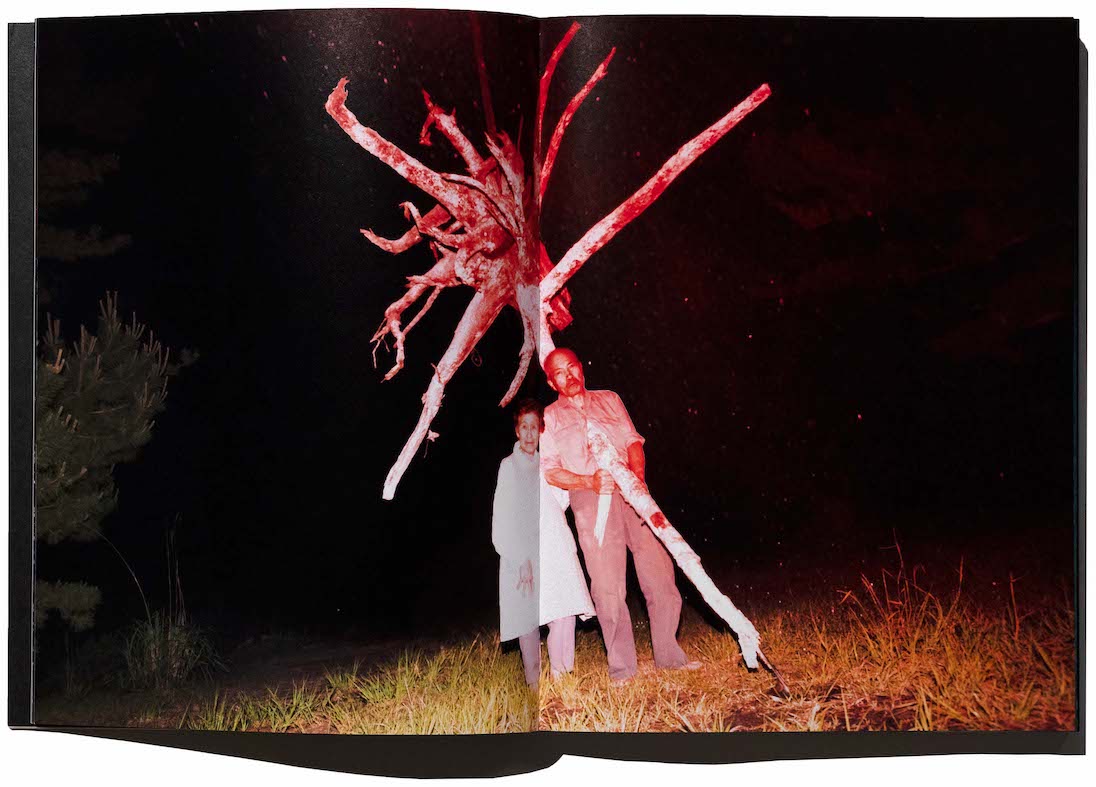 螺旋海岸｜album / 志賀理江子 | 小宮山書店 KOMIYAMA TOKYO | 神保町