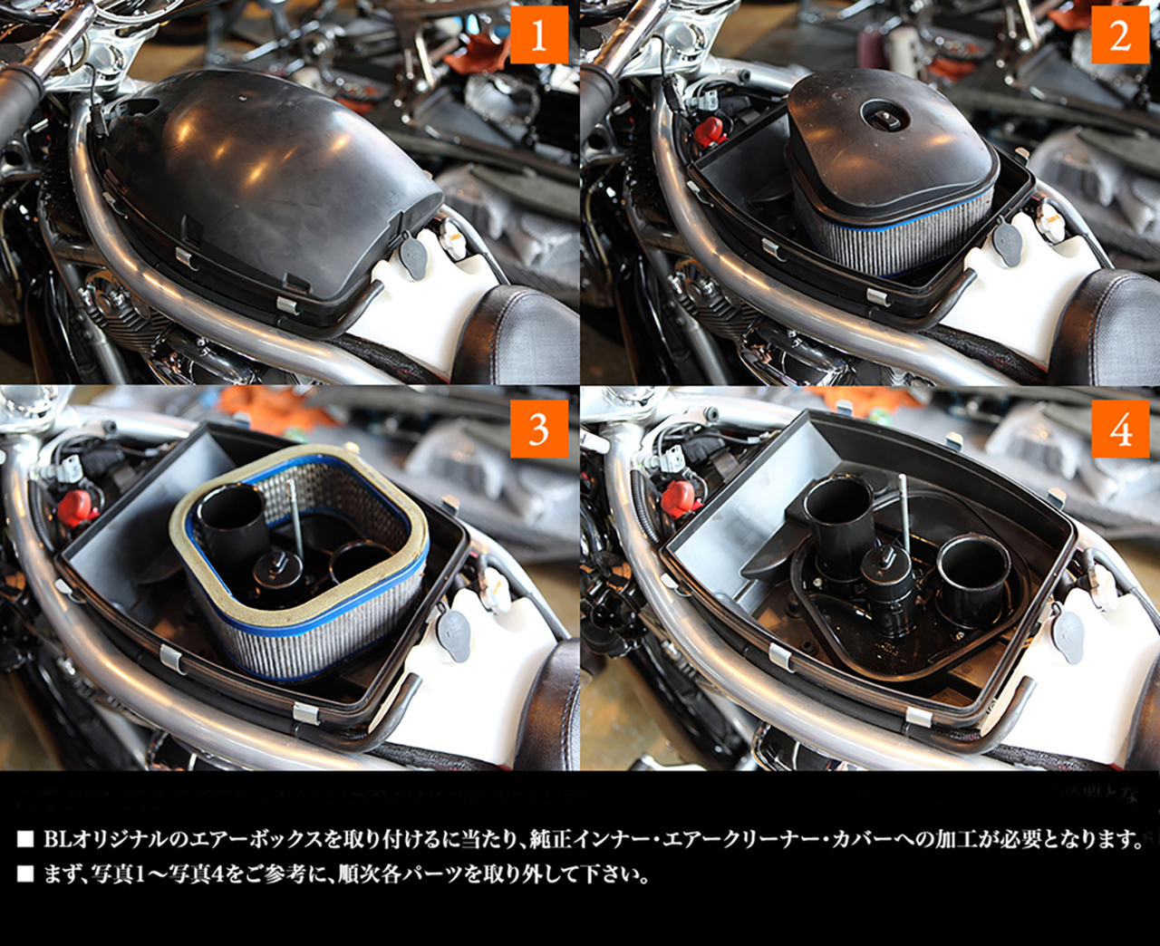 Air Box For V-ROD / Type-D : duke » BAD LAND