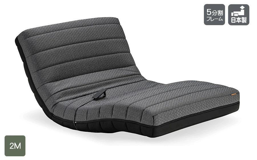 フランスベッド ルーパームーブ RP- 電動リクライニングマットレス