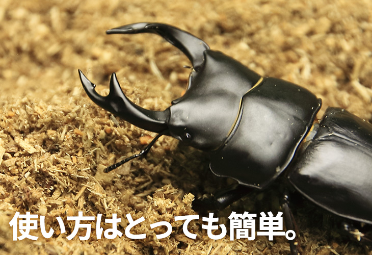 クワガタ・カブトムシ用の成虫管理用マットの販売・通販│ビートルファーム
