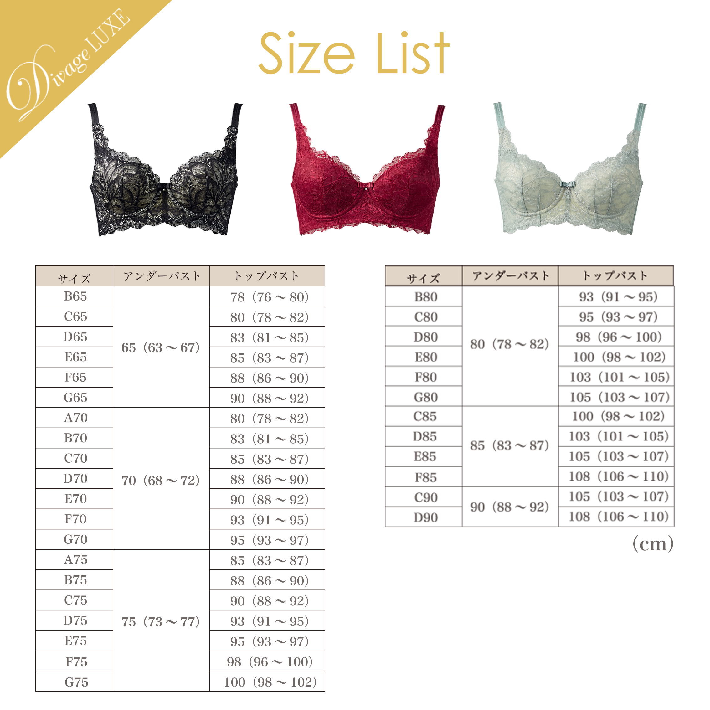 Divage LUXE ブラジャー | OEM・一般医療機器・補整下着の卸仕入│エル