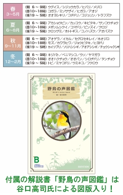 日本野鳥の会 バードショップオンライン Wild Bird 時計 掛け時計