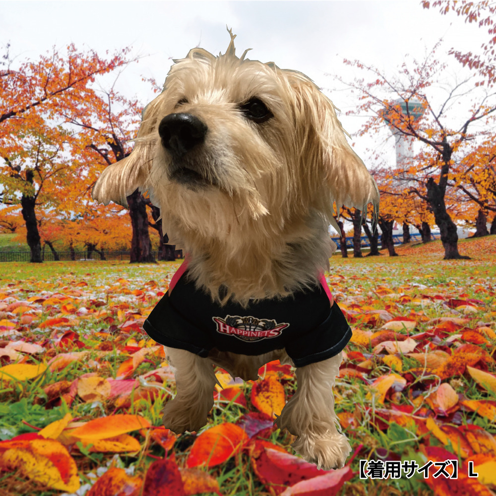 ドッグウェア｜秋田ノーザンハピネッツ｜B.LEAGUE（Bリーグ）公式