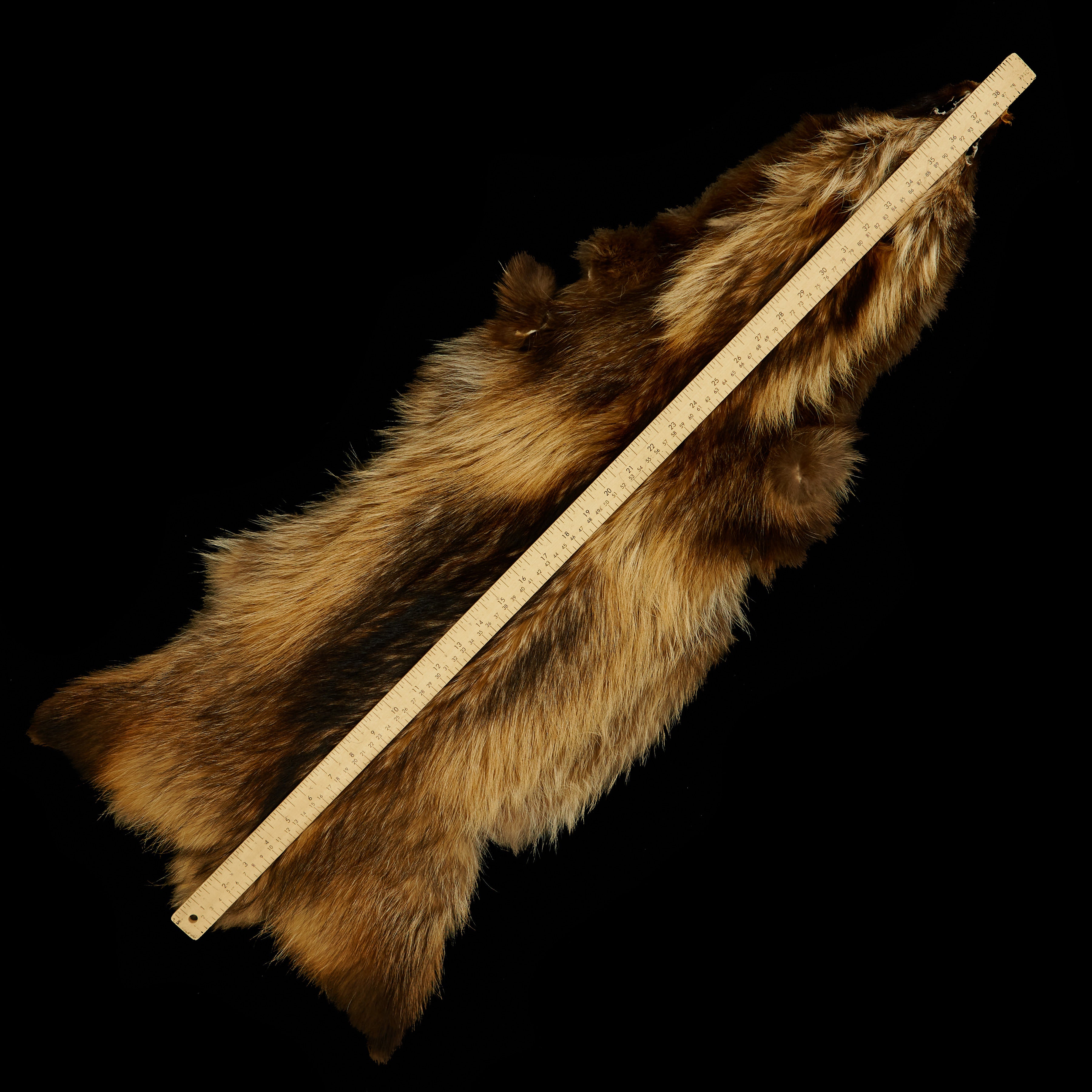 Finn Raccoon – Brador Fabrics