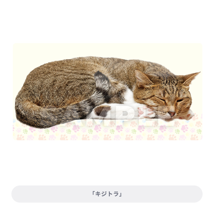 ブロッコリートレカアイテムくじEX「猫これくしょん」｜ブロッコリー