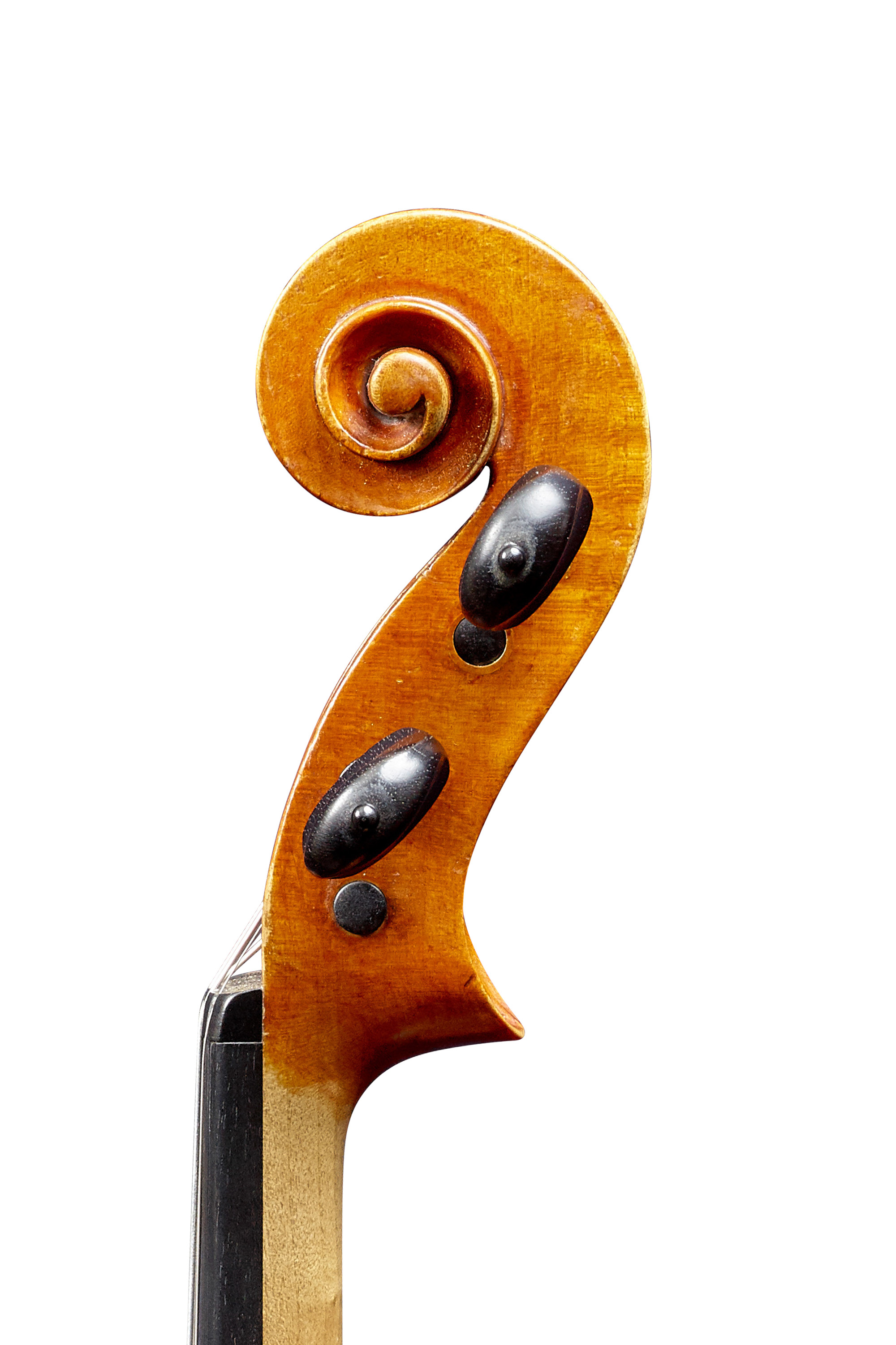 ペドラツィーニ・ワークショップ / Pedrazzini workshop｜バイオリン