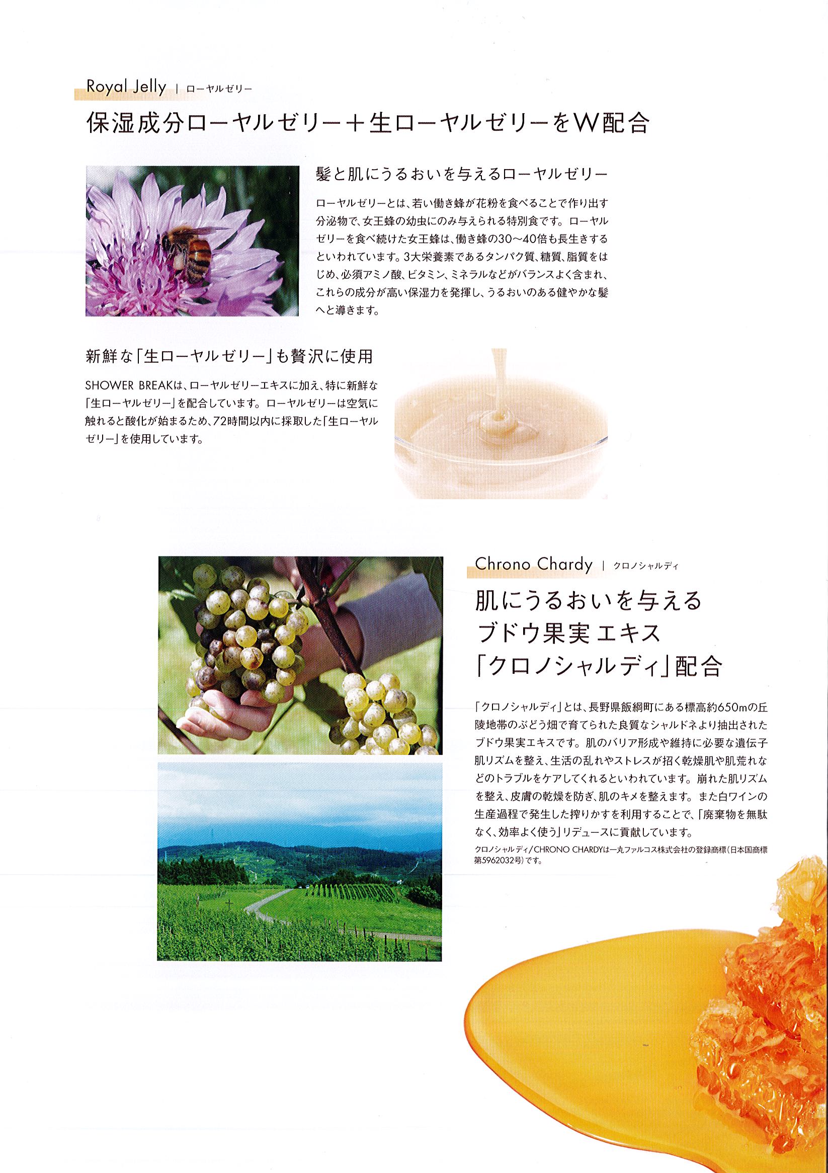 ポーラ(POLA) シャワーブレイク シャンプー（V414） | シンワ