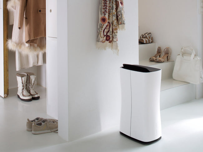 Theo_3-min_650x.jpg?v=1590722945