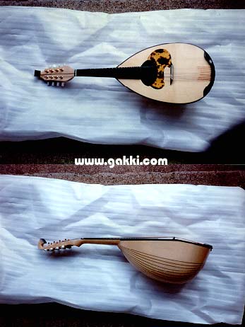 マンドリンの販売～カラーチェ（Raffaele Calace）～【ガッキコム】