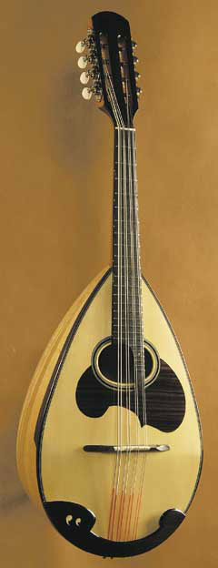 鈴木マンドリン、マンドラの販売～SUZUKI,ENA【ガッキコム】