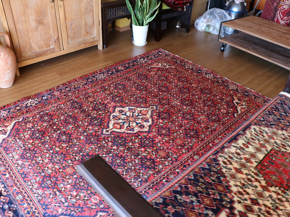 ペルシャじゅうたん トライバルラグ ハマダン イラン西部 223x155cm