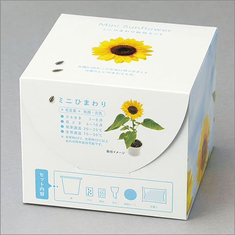 ミニひまわり栽培キット｜300円～499円｜ノベルティ・ゲットクラブ