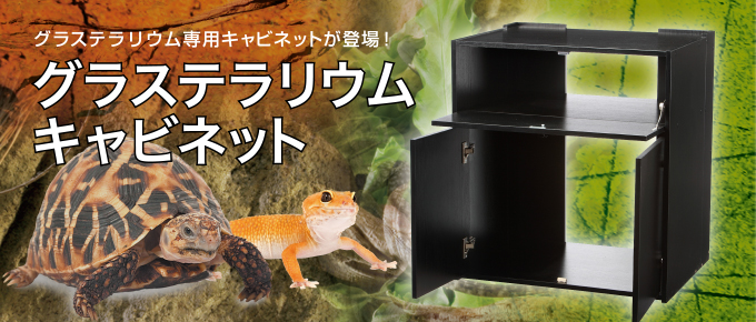 グラステラリウムキャビネット | 爬虫類用品・エキゾ テラ | ジェックス
