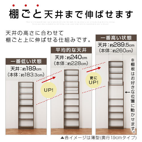 つっぱり式壁面収納ラック 本体 深型 幅60cm×奥行26cm 本棚 ラック