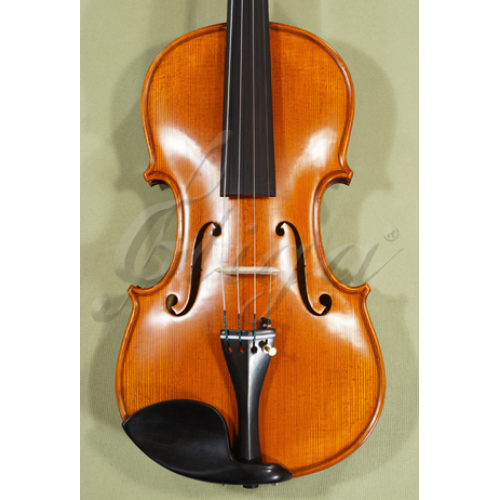 4/4 Full-Size Master/Maestro Violins for Sale | GLIGA Handmade In