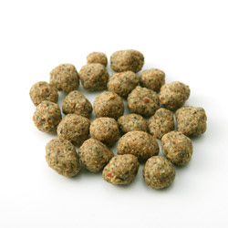 ドットわんごはん DTWNDFRA-00 | ドットワン | GREEN DOG & CAT