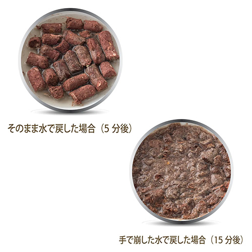 K9ナチュラル フリーズドライ ビーフ・フィースト K9NR9FBS-00