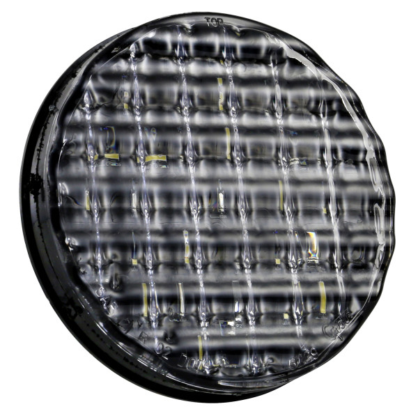 新品未開封LP GRAPEVINE ALL THE LIGHT 新品未開封LP GRAPEVINE ALL