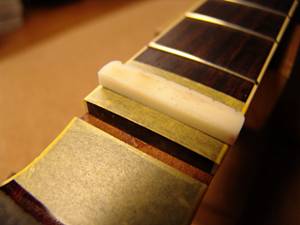 Takamine TDP500SP-WR