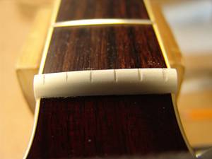 Takamine TDP500SP-WR